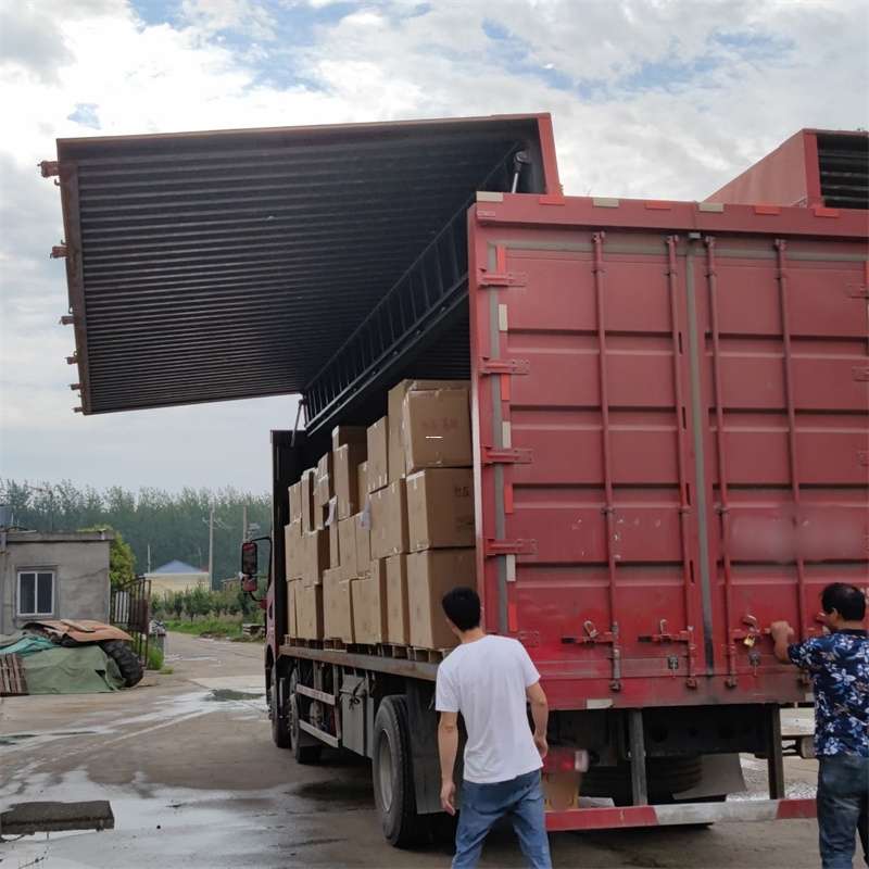 雨山区扎囊县：物流专线的高效货运之旅